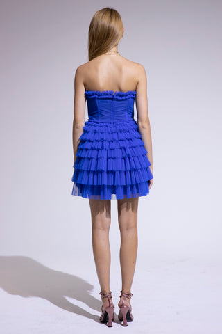 Blue Tulle Bustier Dress